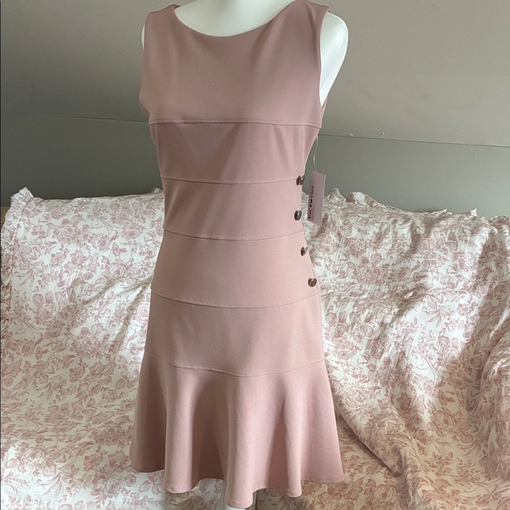 Enfocus Studio Rose Blush Sleeveless Fit-and-Flare Dress